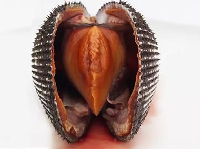 ౴